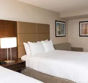 Doubletree by Hilton Pleasant Prairie Kenosha hotel detail image 7