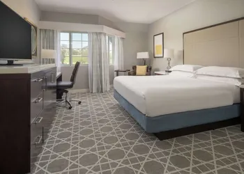 Hilton San Diego/Del Mar hotel thumbnail 8