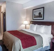 Comfort Inn Mississauga hotel detail image 7