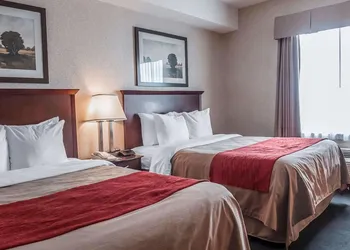 Comfort Inn Mississauga hotel thumbnail 8