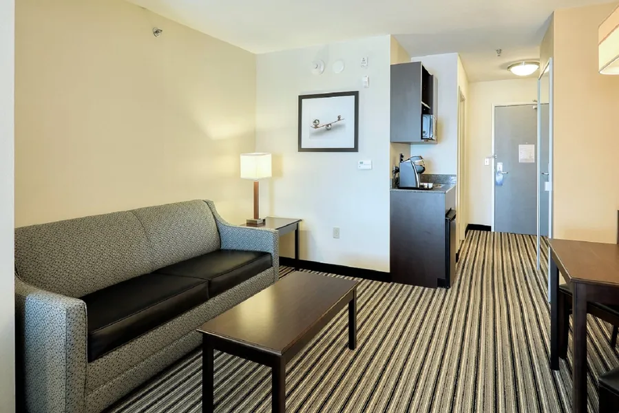 Holiday Inn Express Hotel & Suites Batavia - Darien Lake by IHG hotel detail image 6