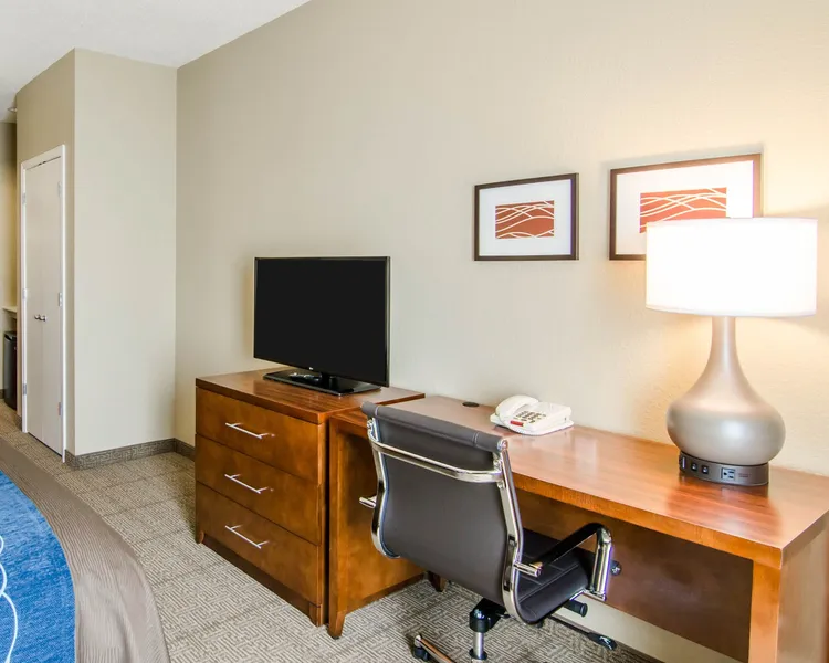 Comfort Inn & Suites Lynchburg Airport - University Area hotel detail image 6