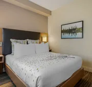 Best Western Plus Sawridge Suites hotel detail image 7