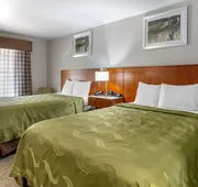 Quality Inn Covington hotel detail image 7