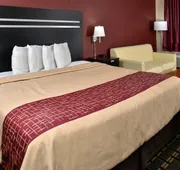 Red Roof Inn Cartersville–Emerson/LakePoint North hotel detail image 4