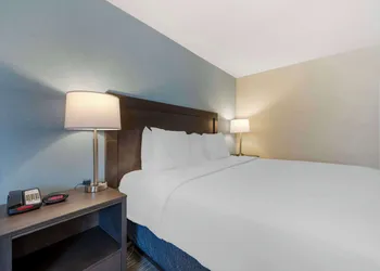 Best Western Plus Alexandria / Fort Belvoir hotel thumbnail 7