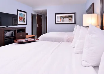 Hampton Inn Rome hotel thumbnail 8