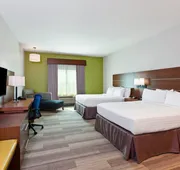 Holiday Inn Express & Suites Houston S - Medical Ctr Area by IHG hotel detail image 7