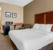 Comfort Inn & Suites St. Louis - O'Fallon hotel detail image 7