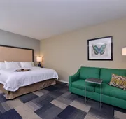 Hampton Inn Broussard-Lafayette Area hotel detail image 5