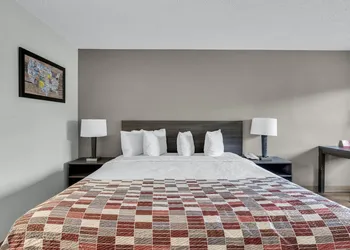 Red Roof Inn MacClenny hotel thumbnail 5