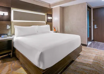 Holiday Inn Brooklyn Downtown by IHG hotel thumbnail 5