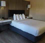 Lavissh Inn & Suites hotel detail image 7
