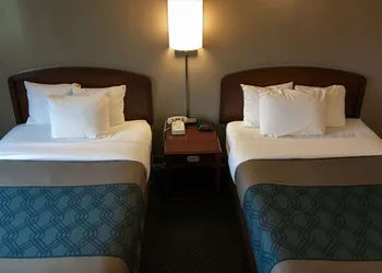 Econo Lodge Darien Lakes hotel thumbnail 7