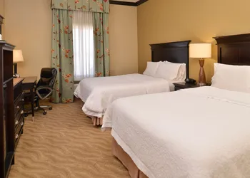 Hampton Inn Van Horn hotel thumbnail 5