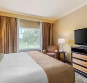 Best Western Plus Miami Airport North Hotel & Suites hotel detail image 7