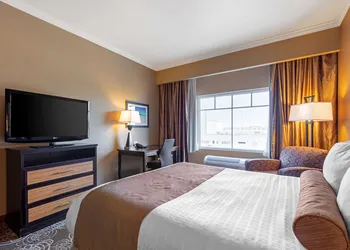 Best Western Plus Miami Airport North Hotel & Suites hotel thumbnail 8