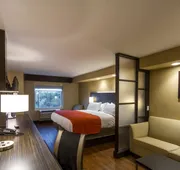 Holiday Inn Express & Suites San Antonio Medical-Six Flags by IHG hotel detail image 5