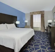 Holiday Inn Express & Suites Houston North - IAH Area by IHG hotel detail image 3