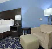 Holiday Inn Express & Suites Houston North - IAH Area by IHG hotel detail image 4