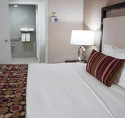 Hawthorn Extended Stay by Wyndham McAllen hotel detail image 7