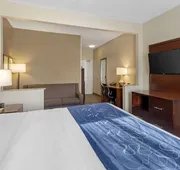 Comfort Suites Normal University area hotel detail image 5