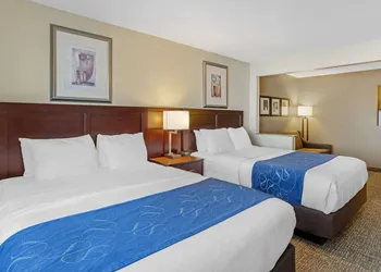 Comfort Suites Normal University area hotel thumbnail 8