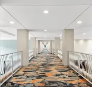 Hampton Inn & Suites Pensacola/I-10 Pine Forest Road hotel detail image 3