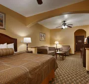 Best Western Plus Manvel Inn & Suites hotel detail image 4