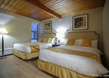Grizz Hotel hotel thumbnail 6