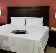 Hampton Inn & Suites Texarkana hotel detail image 7