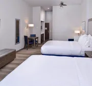 Holiday Inn Express & Suites Houston E - Pasadena by IHG hotel detail image 7