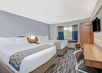 Microtel Inn & Suites By Wyndham Philadelphia Airport Ridley hotel thumbnail 6