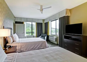 Homewood Suites by Hilton Seattle-Issaquah hotel thumbnail 4