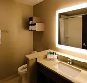 Holiday Inn Express & Suites Plymouth - Ann Arbor Area by IHG hotel detail image 3