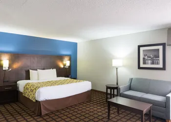 Baymont by Wyndham Morton hotel thumbnail 8
