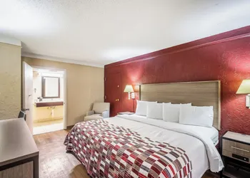 Red Roof Inn Tampa Bay - St Petersburg hotel thumbnail 5
