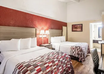Red Roof Inn Tampa Bay - St Petersburg hotel thumbnail 6