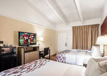 Red Roof Inn Tampa Bay - St Petersburg hotel thumbnail 8