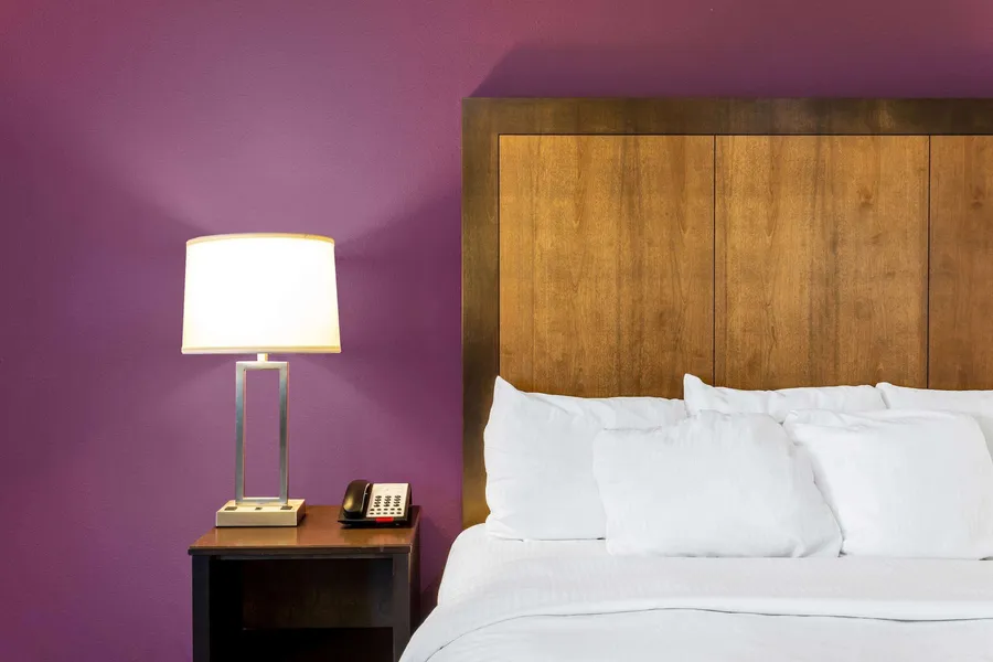 La Quinta Inn & Suites by Wyndham Monahans hotel detail image 6