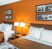 Sleep Inn Cartersville - Emerson Lake Point hotel detail image 7