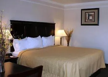 Motel 6 Kingsburg, CA hotel thumbnail 6