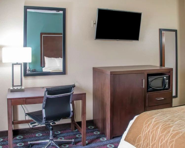 Comfort Inn & Suites hotel detail image 6