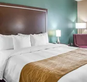 Comfort Inn & Suites hotel detail image 7