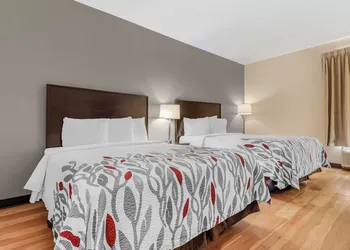 Red Roof Inn Dumas hotel thumbnail 6