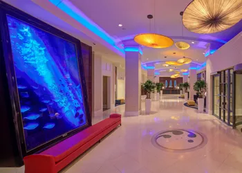 Hilton Virginia Beach Oceanfront hotel thumbnail 2