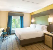 Crowne Plaza SHENANDOAH - WOODLANDS AREA by IHG hotel detail image 7