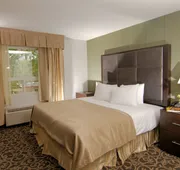 Paradise Inn & Kitchenette Suites hotel detail image 7