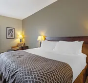 Best Western High Road Inn hotel detail image 5