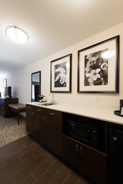 Holiday Inn Express & Suites Aiken by IHG hotel detail image 6